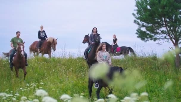 Groupe Équestres Sur Les Chevaux Marchant Dans Prairie Gros Plan — Video