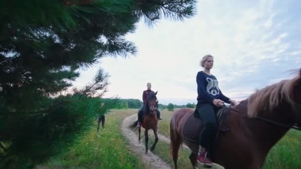 Unga kvinnor ryttare på häst passerar väg utomhus — Stockvideo