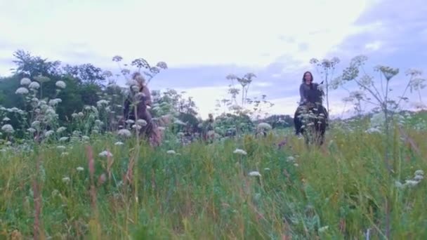 Kvinnliga ryttare på häst gå genom fältet med blommor — Stockvideo