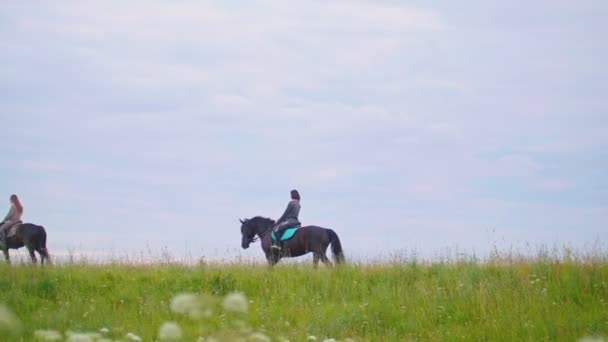 Всадники на лошадях проезжают мимо летнего поля — стоковое видео