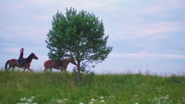 Grupo de personas a caballo galopando en el campo — Vídeo de stock