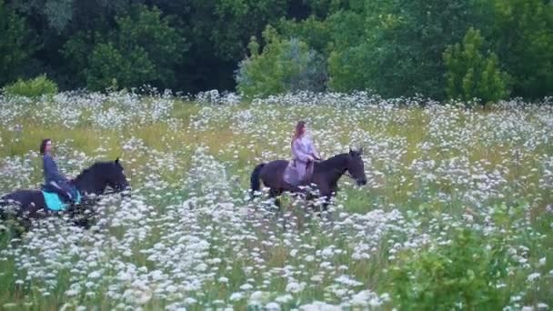 Gruppe junger Frau reitet auf Pferden auf der Blumenwiese — Stockvideo