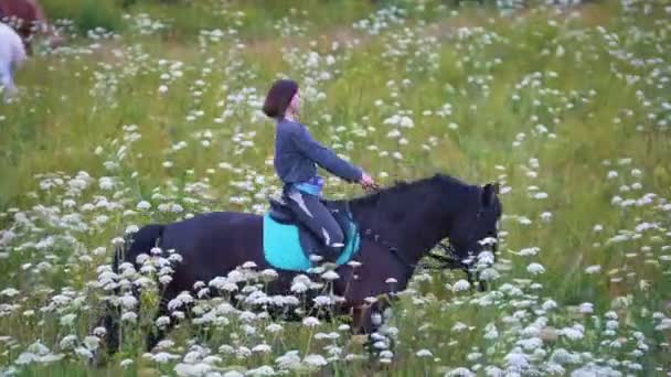 Mladá žena jízda na koni na louce s květinami — Stock video