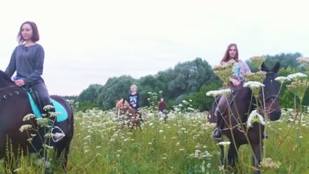 Ryttere på hesteryggen går gjennom engen med blomster – stockvideo