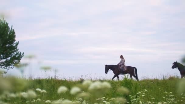 Três jovens mulheres montam a cavalo no campo no verão — Vídeo de Stock