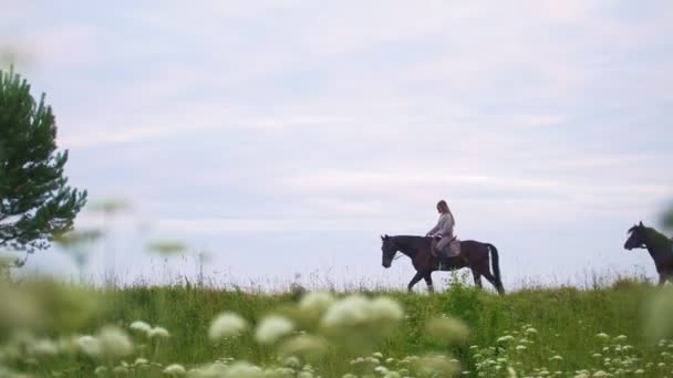 Tre unga kvinnor rider på hästryggen på fältet på sommaren — Stockvideo