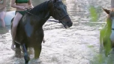 Genç kadın yaz gününde nehre siyah ata binmek mutlu