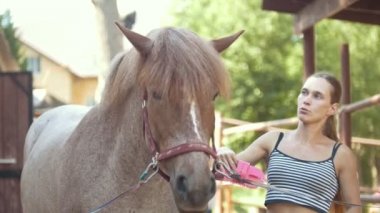 Güzel bir genç kadın bir at istikrarlı temizler