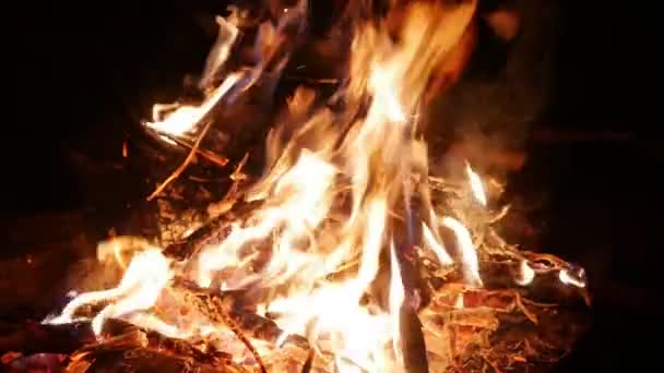 Brandende vlam op kampvuur in nacht in het bos — Stockvideo