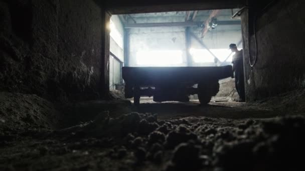 Un hombre de la fábrica empuja el carro al garaje. — Vídeo de stock