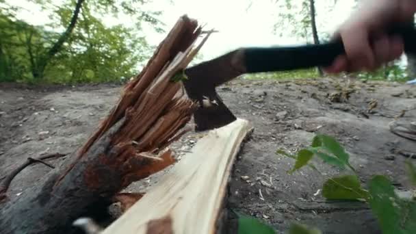 Male hand with axe chopping wood in the forest — Stock Video