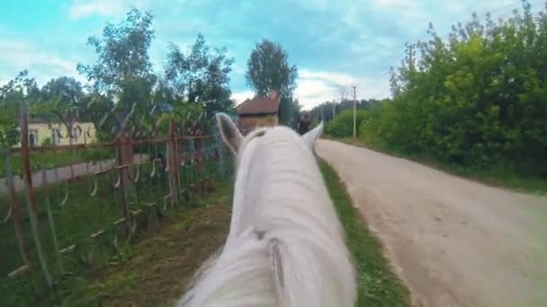 Белая лошадь идет вдоль забора по тропинке — стоковое видео