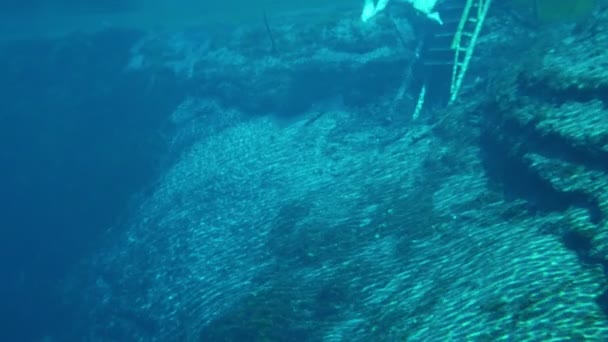 Giovane uomo che nuota sott'acqua nel lago blu chiaro — Video Stock