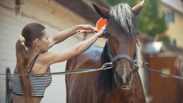 Seorang wanita cantik muda membersihkan dengan air kuda dalam stabil, gerak lambat — Stok Video