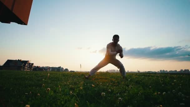 Athletic male trains capoeira on grass at sunset on summer evening — Stock Video