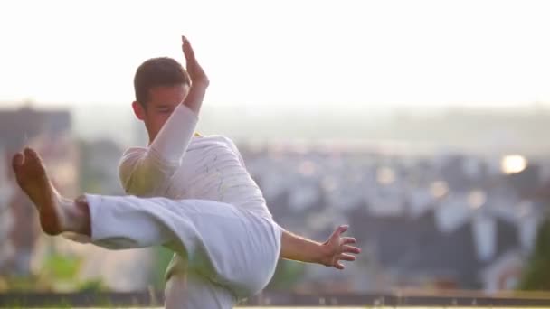 Esporte homem mostra a arte da capoeira dança ao ar livre — Vídeo de Stock