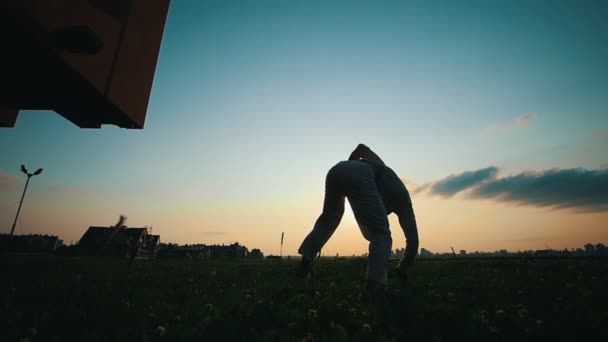 Silueta masculina al atardecer, baile de capoeira sobre la hierba, tarde de verano — Vídeo de stock