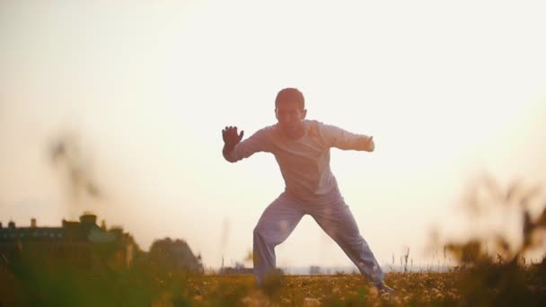 Homem atlético em um traje branco dançando capoeira na grama, o brilho do sol, pôr do sol — Vídeo de Stock