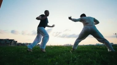 Çimenlerin üzerinde kavga iki atletik adam onlardan biri diğer, yaz, gün batımı çaldı