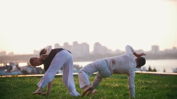 Dos hombres fuertes muestran elementos del arte marcial brasileño de la capoeira en la hierba — Vídeos de Stock