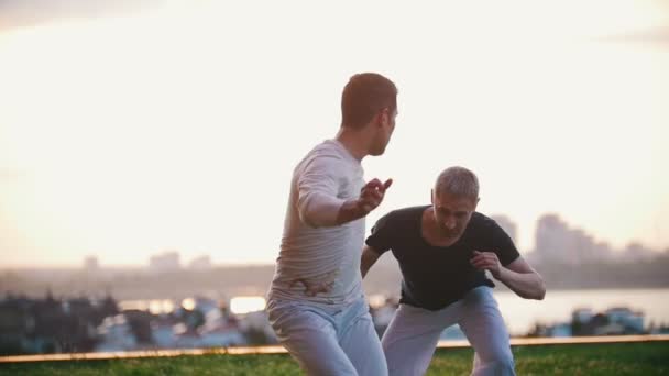 Los hombres atléticos muestran elementos del arte marcial de la capoeira en la hierba, verano — Vídeo de stock