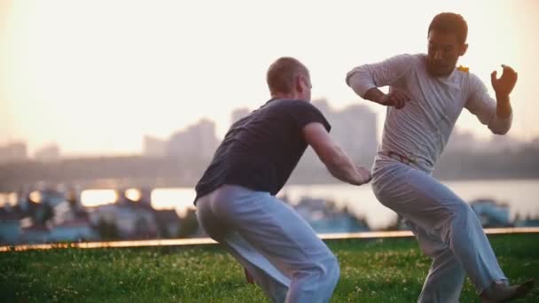 Hombres atléticos muestran danza capoeira brasileña sobre hierba, verano — Vídeo de stock