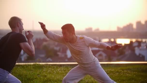 Αθλητική ισχυροί άνδρες τρένο, ισχύουν τα στοιχεία από την πολεμική τέχνη της capoeira, σχετικά με την πράσινη χλόη, κατά τον όμορφο καλοκαιρινό ουρανό και η θέα στην πόλη — Αρχείο Βίντεο