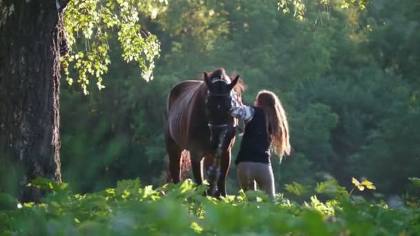 美丽的骑手跳上一匹马对着绿色的森林和清晨的太阳光线 — 图库视频影像