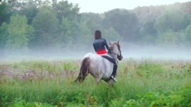 Genç binici bir binicilik sise güzel doğa arka plan üzerinde atlar.