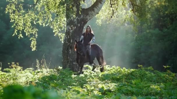 Hermosa chica con el pelo largo monta un caballo en el bosque — Vídeos de Stock