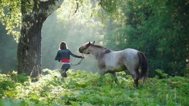 Mädchen, das frühmorgens im Morgengrauen mit einem weiß-grauen Pferd im Wald spazieren geht — Stockvideo