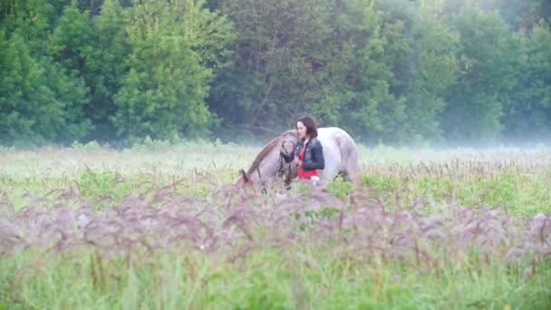 La fille porte un bandeau sur un cheval au milieu de l'herbe contre la forêt et le brouillard — Video