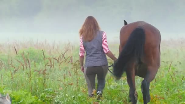 En ung kvinna går med en brun häst i dimmiga skogen, bredvid dem är en husky hund — Stockvideo