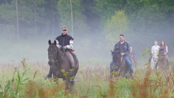 Group of young athletic people walk on beautiful horses early in the morning — Stock Video