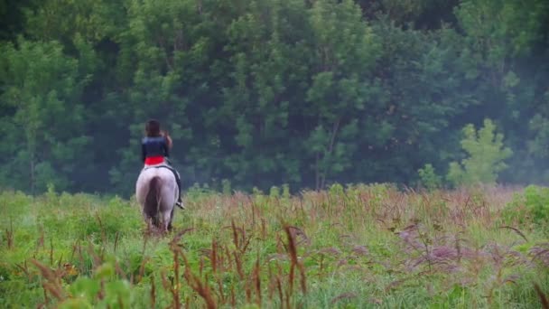 Een jonge renner op een paard galopperen naar het bos, omringd door de prachtige natuur — Stockvideo