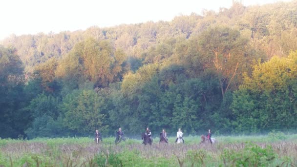 Sechs Freunde reiten Pferde im Hintergrund der Natur, nebliger Wald am frühen Morgen des August — Stockvideo