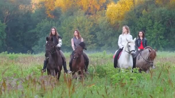 Vier jonge meisjes lopen op mooie paarden op het gras in de buurt van het mistige bos — Stockvideo