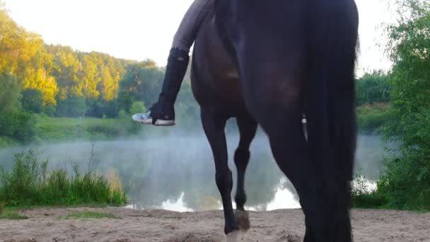 Mujeres jóvenes a caballo entran en el lago por la mañana temprano, niebla — Vídeo de stock