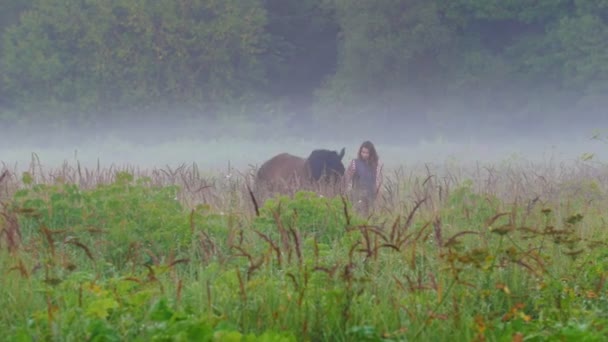 Mujer joven con el pelo rojo camina con un caballo de color marrón en el campo en la niebla — Vídeos de Stock