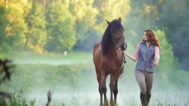 Jovem mulher andando com um cavalo na natureza — Vídeo de Stock