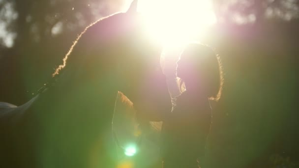 Bela silhueta de uma menina e um cavalo em um passeio na floresta nos raios do sol de verão delicioso, de manhã cedo — Vídeo de Stock