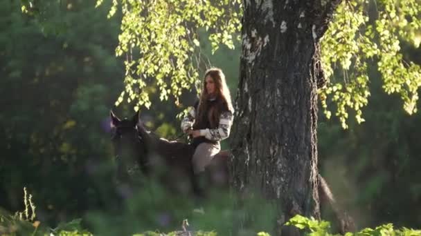 Девушка с длинными волосами гуляет на лошадях вокруг дерева рано утром на солнце — стоковое видео