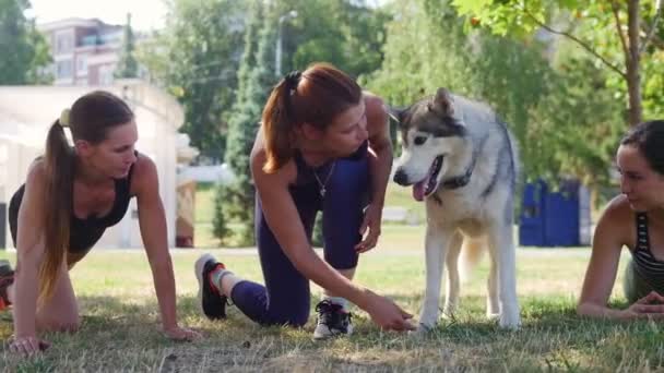 Tre unga flickor gör övningar på gräset och försöker lära hunden att sitta i baren — Stockvideo