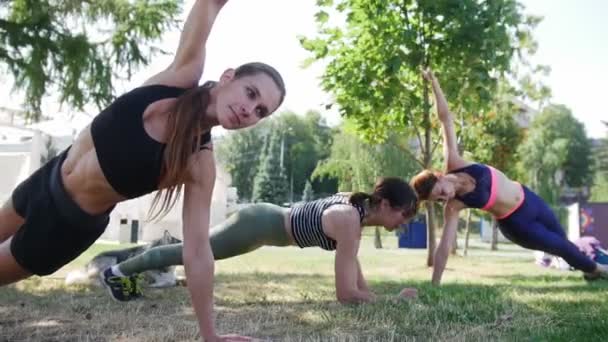 Junge Frauen führen im Sommer körperliche Übungen auf dem Rasen im Park durch — Stockvideo