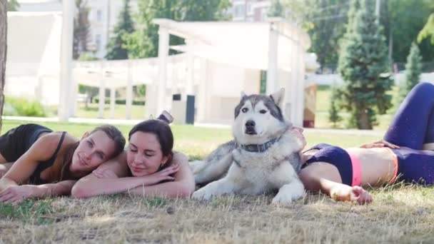 Trzy młode kobiety leżą i zrelaksować się na trawie w parku z psem husky — Wideo stockowe