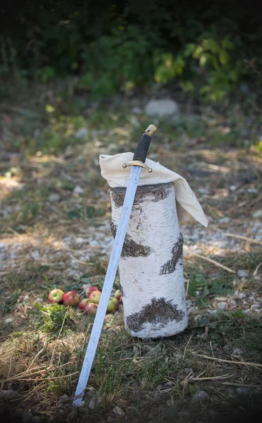 Στη φωτογραφία, υπάρχει ένα αρχείο καταγραφής με ένα ξίφος, ξίφους αναπαύονται στο αρχείο καταγραφής — Φωτογραφία Αρχείου