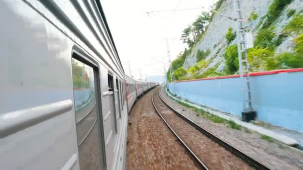 Disparando trenes en movimiento. Ferrocarril. Hermosa naturaleza. Árboles, arbustos . — Vídeo de stock