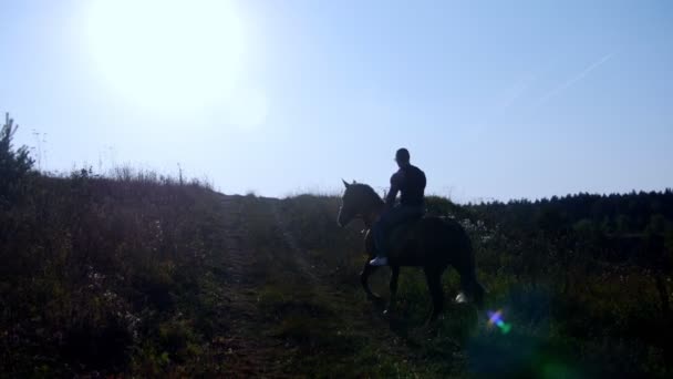 Ένας άνθρωπος με μια ισχυρή σωματική διάπλαση βόλτες με ένα άλογο, ανεβαίνει ένα λόφο, σιλουέτα — Αρχείο Βίντεο