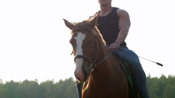 Un uomo brutale in maglietta nera e occhiali da sole cavalcando un cavallo in un campo — Video Stock