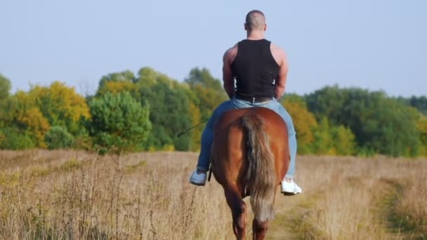 Un hombre fuerte con un cuerpo fuerte en una camiseta negra y pantalones vaqueros monta un caballo alejándose de la cámara — Vídeos de Stock